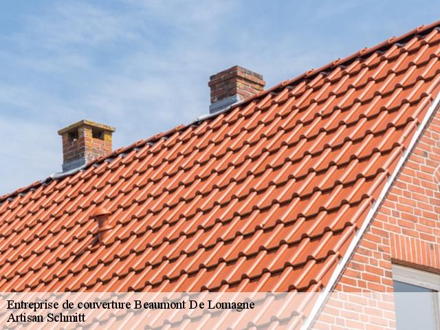 Entreprise de couverture  beaumont-de-lomagne-82500 Artisan Schmitt