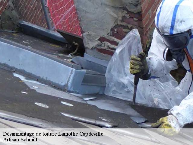 Désamiantage de toiture  lamothe-capdeville-82130 Artisan Schmitt