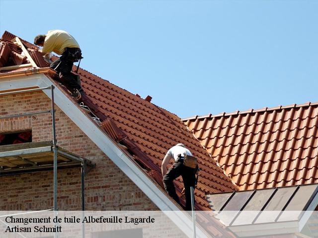 Changement de tuile  albefeuille-lagarde-82290 Artisan Schmitt