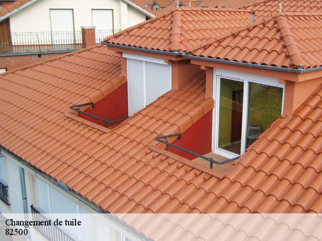 Changement de tuile 82500