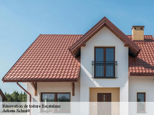 Rénovation de toiture escatalens-82700 Artisan Schmitt