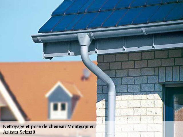 Nettoyage et pose de cheneau montesquieu-82200 Artisan Schmitt