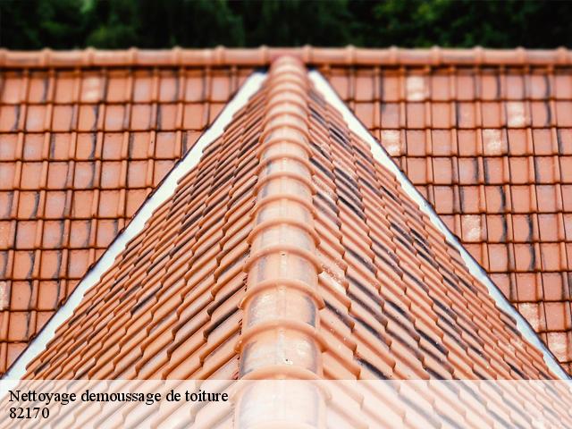 Nettoyage demoussage de toiture 82170