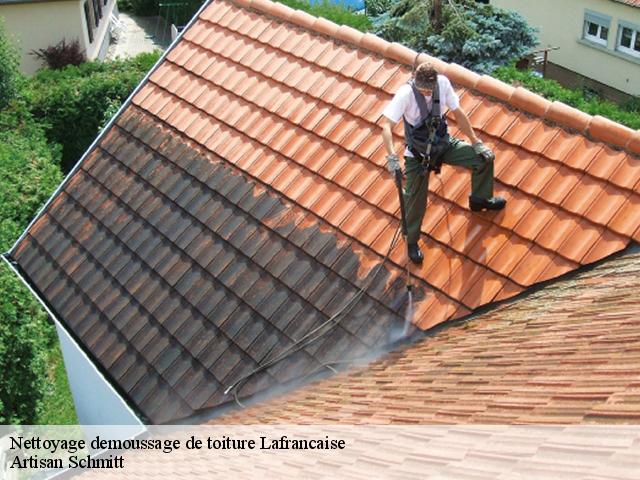 Nettoyage demoussage de toiture  lafrancaise-82130 Artisan Schmitt