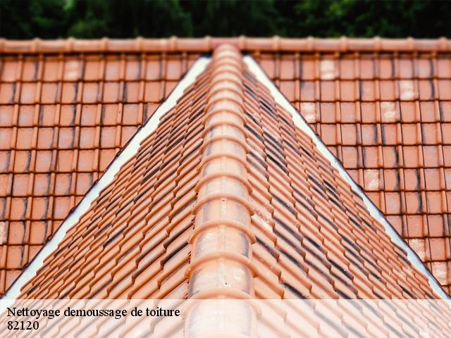 Nettoyage demoussage de toiture 82120