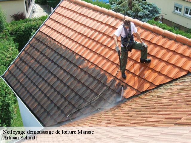 Nettoyage demoussage de toiture marsac-82120 Artisan Schmitt